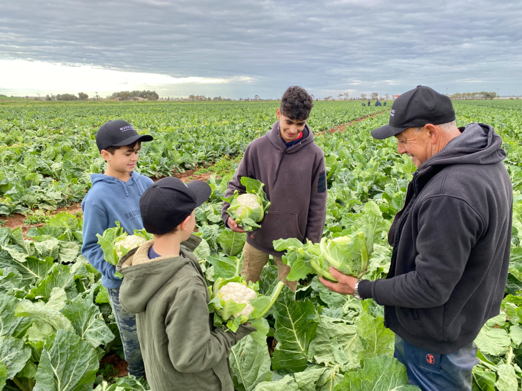 Musolino Farms with the next Generation