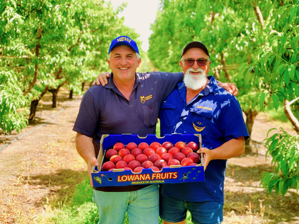 Lowana Fruits Brothers in the orchard