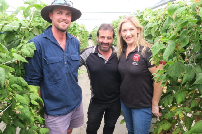 Rhys, Ross and Penny from Pick A Local Pick SA! in the farm